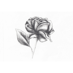 デザイン名/ La deesee