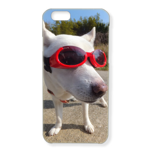 犬no4