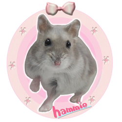 デザイン名/ ハムスター