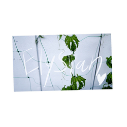 デザイン名/ Elysain s