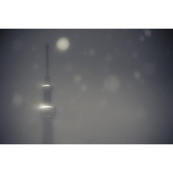 デザイン名/ SNOW2 TREE