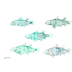 デザイン名/ シーラカンス