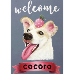 cocoro