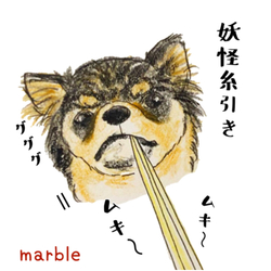 マーブルくん