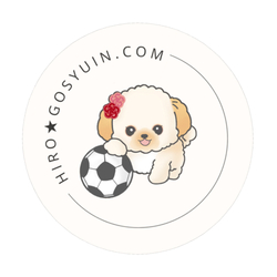 デザイン名/ CoCo（サッカーVer.）