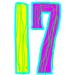 デザイン名/ ラッキーナンバー17