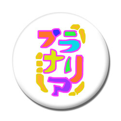 プラナリア 不死身生物 分裂ちゃん