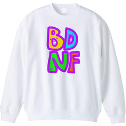 BDNF 重要栄養素