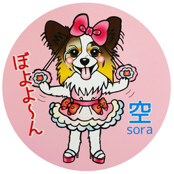 デザイン名/ 空ちゃんグッズ1