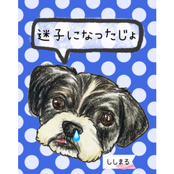 ししまるくん