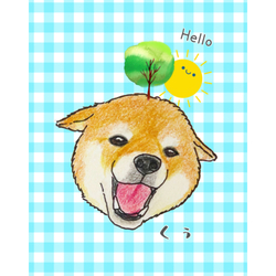 くぅちゃん