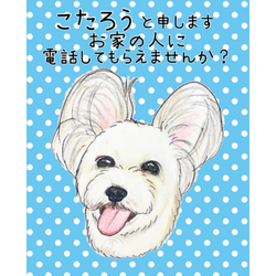 こたろうくん