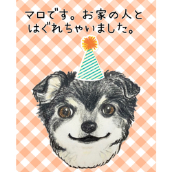 マロくん