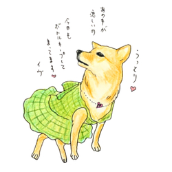 イヴちゃん