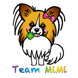 デザイン名/ team MiMi