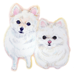 デザイン名/ マロン&コリン