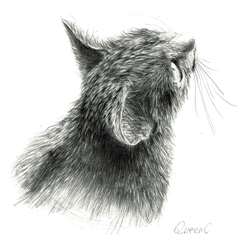 デザイン名/ QueenC 3