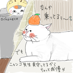 デザイン名/ ゆきさん