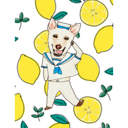 ベルくん（レモン）