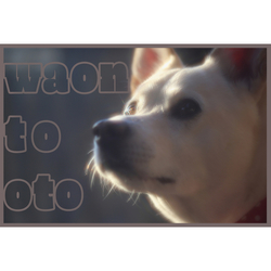 デザイン名/ ***