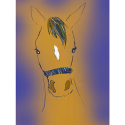 デザイン名/ 見つめる馬