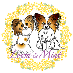 デザイン名/ ミンロワミモザ