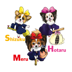 デザイン名/ メルホタしずくグッズ