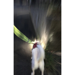 デザイン名/ 音ブレv1