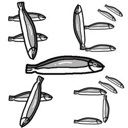 デザイン名/ Kibinagoo-katakana