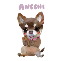 デザイン名/ test